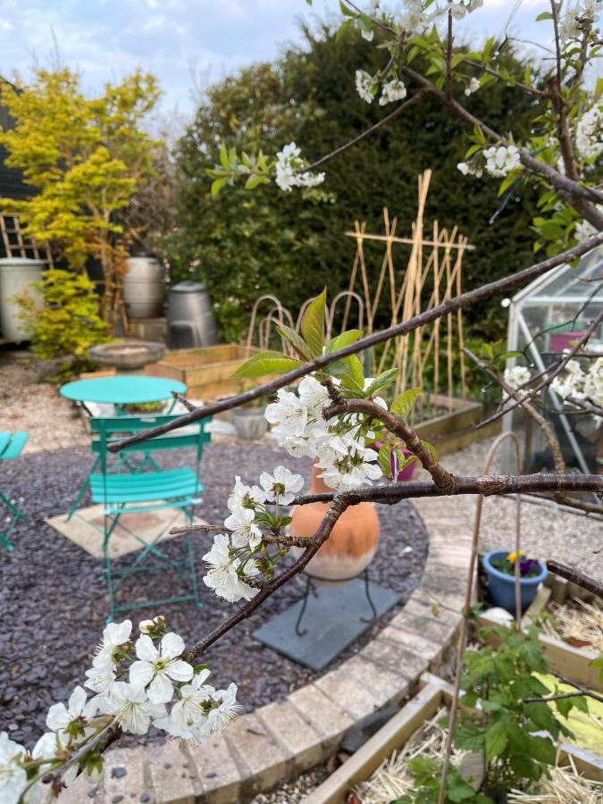Апартаменты Little Haven Дартмаут Экстерьер фото